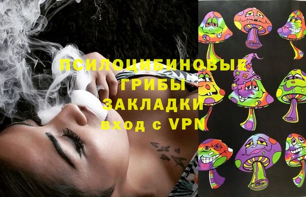 PSILOCYBIN Беломорск