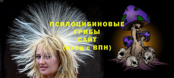 PSILOCYBIN Беломорск